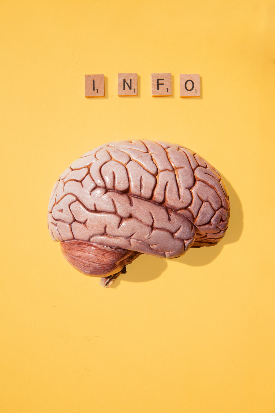 2. Mental Health & Emotional Wellbeing